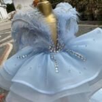 Luxurious Blue Feathered Gemstone Tiered frock