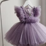 Lavender Ruffled Tulle Dress with Embroidery frock